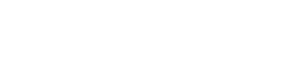 Sistemas del Sur (logo blanco)
